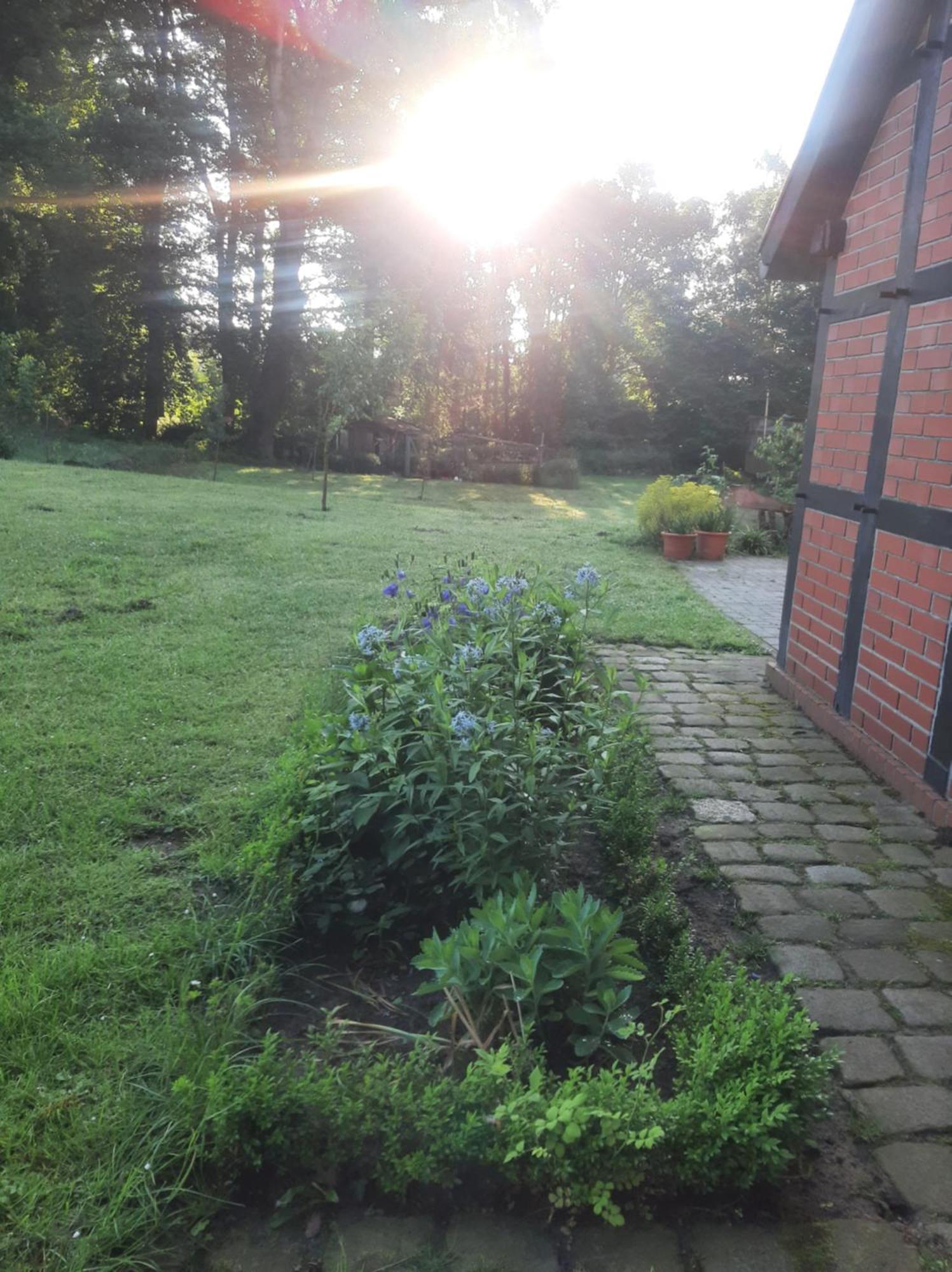 Ferienwohnung Auf Dem Land Ladbergen Exteriör bild